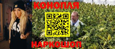 шишки Свободный