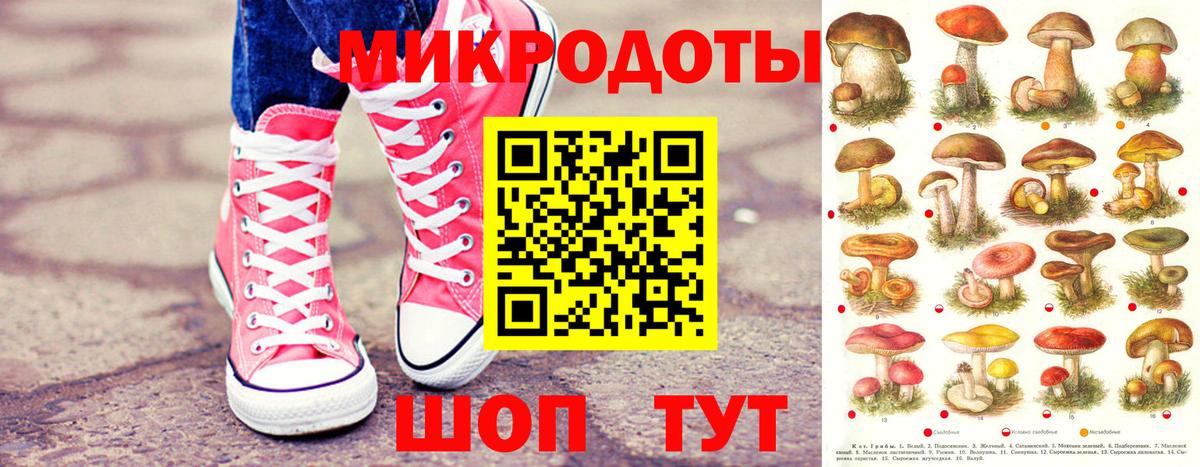 Псилоцибиновые грибы прущие грибы Саров