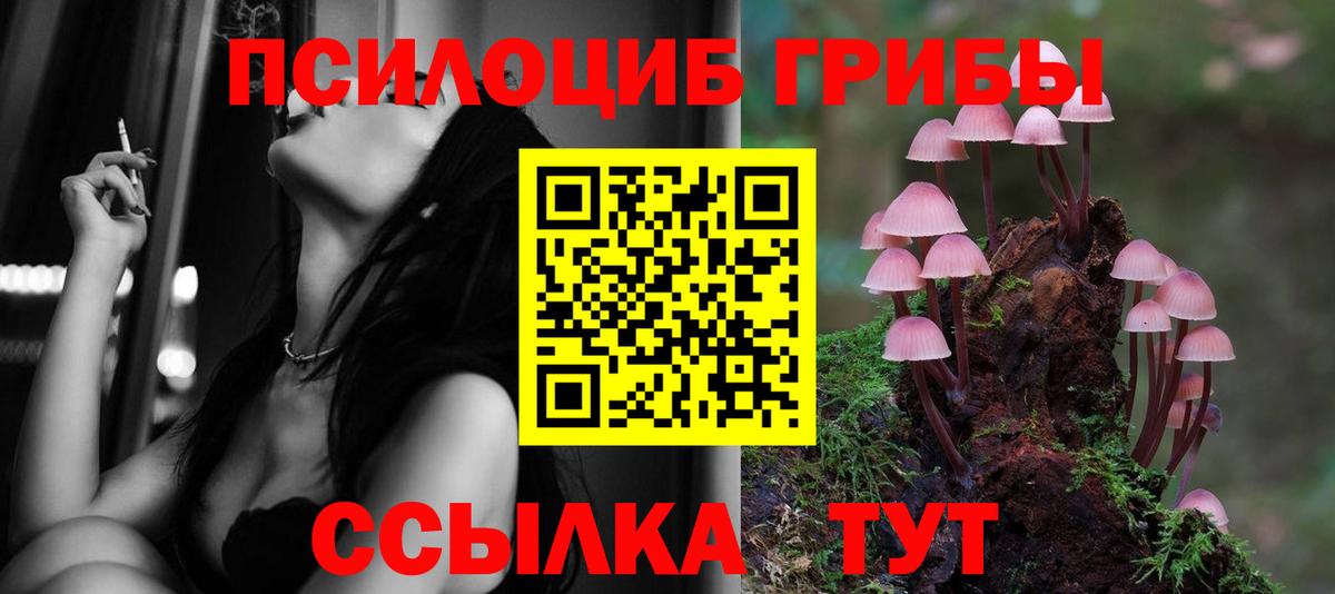 Саров  Галлюциногенные грибы Psilocybine cubensis  Вход с VPN 